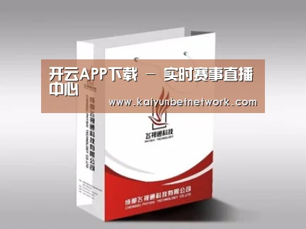 项目名称十三
