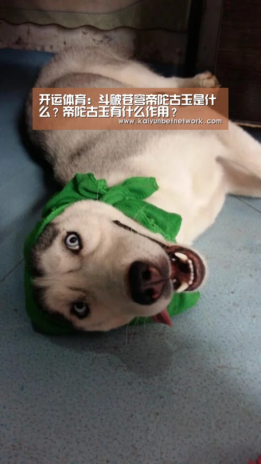 开运体育:斗破苍穹帝陀古玉是什么?帝陀古玉有什么作用?(图2) 开运竞猜