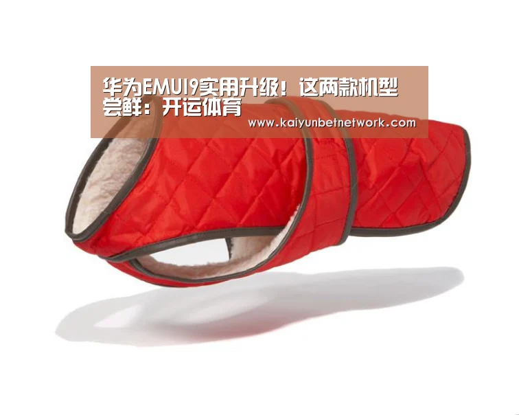 华为EMUI9实用升级!这两款机型尝鲜:开运体育(图1) 开运真人