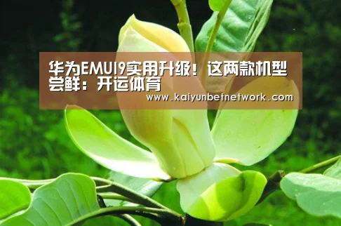 华为EMUI9实用升级!这两款机型尝鲜:开运体育(图3) 开运直播