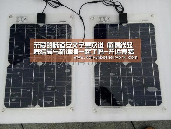 亲爱的味道安文宇喜欢谁 感情线起底结局与靳津津一起了吗-开运竞猜(图4) 开运体育