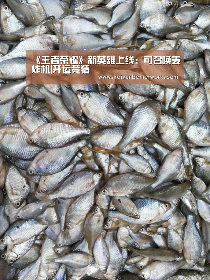 《王者荣耀》新英雄上线:可召唤轰炸机|开运竞猜(图3) 开运直播